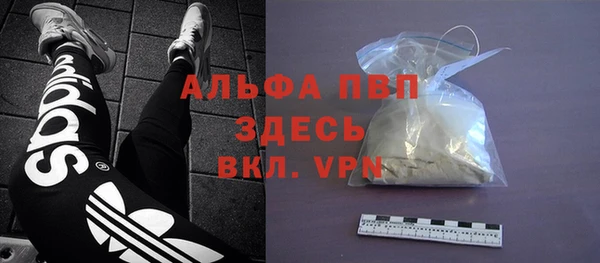 ГАЛЛЮЦИНОГЕННЫЕ ГРИБЫ Баксан