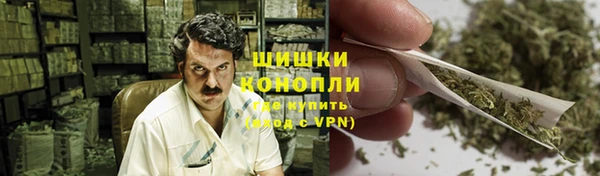 ГАЛЛЮЦИНОГЕННЫЕ ГРИБЫ Баксан