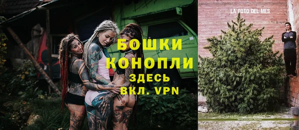 ГАЛЛЮЦИНОГЕННЫЕ ГРИБЫ Баксан