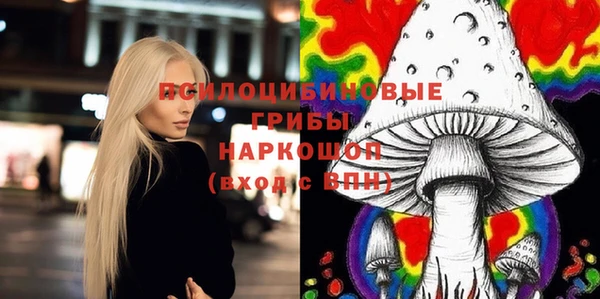 ГАЛЛЮЦИНОГЕННЫЕ ГРИБЫ Баксан