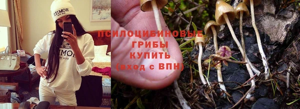 эйфоретик Балахна