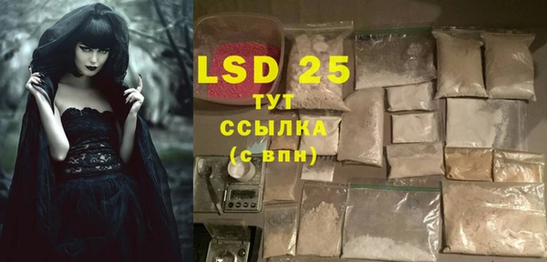ГАЛЛЮЦИНОГЕННЫЕ ГРИБЫ Баксан