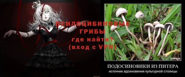 ГАЛЛЮЦИНОГЕННЫЕ ГРИБЫ Баксан