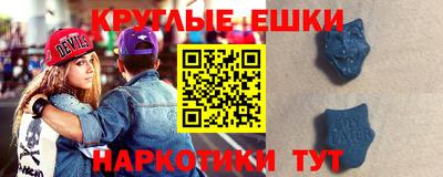 гидра Гусев