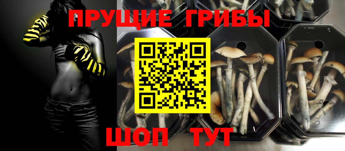 Соль-Илецк  Галлюциногенные грибы Psilocybe  Вход с VPN  хочу   Галлюциногенные грибы прущие грибы 
